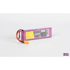 TF LiFe 3100-2S MTAG